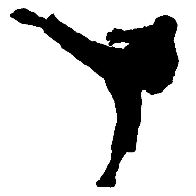空手の蹴りをしている男性のシルエット画像